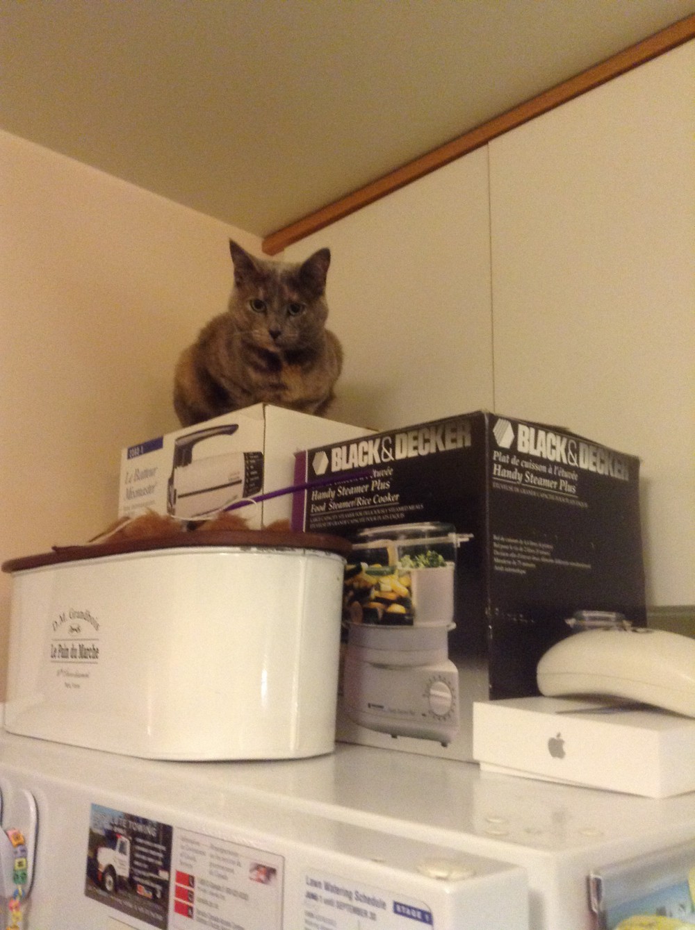 Nice dress!  Thanks, I made it!!