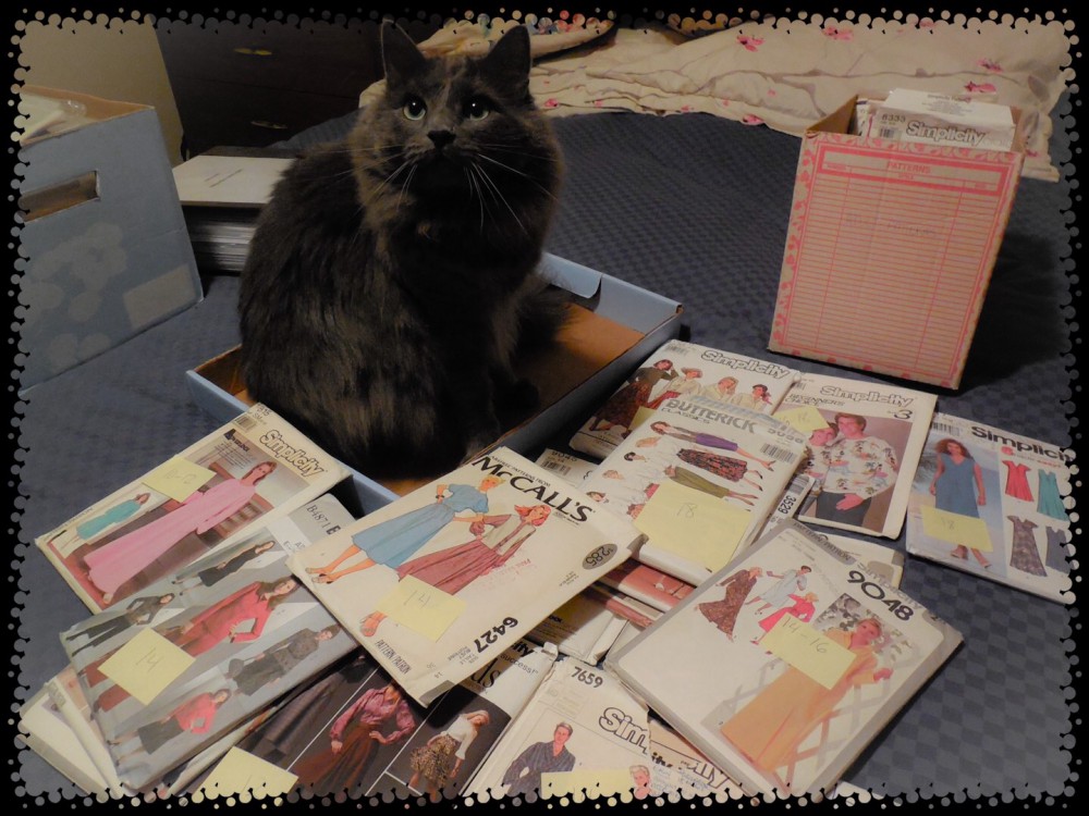 We interrupt this program to bring you…