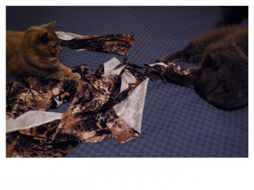 Nice dress!  Thanks, I made it!!