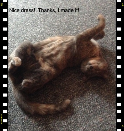 You are too late to see the “birds”!