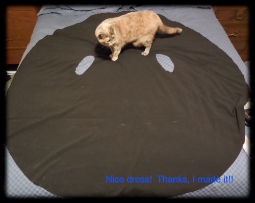 McCall’s “Learn to Sew for Fun”