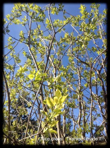 My “burrito” experience.