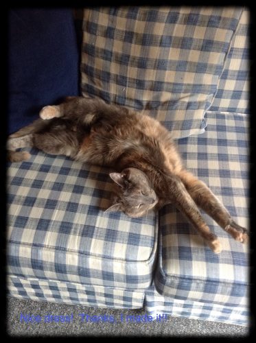 Just a bit of practical sewing…