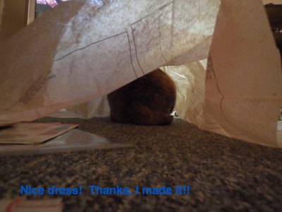 Nice dress!  Thanks, I made it!!