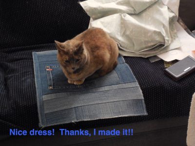 Nice dress!  Thanks, I made it!!