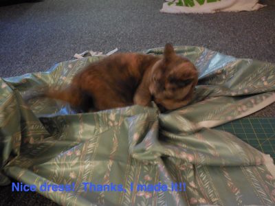 7670BA78-F732-492A-A65E-D40C08416C63