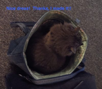 Nice dress!  Thanks, I made it!!