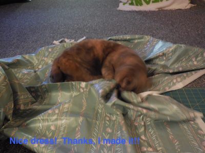 DA377C07-3074-4AF4-B42B-C32149D70371