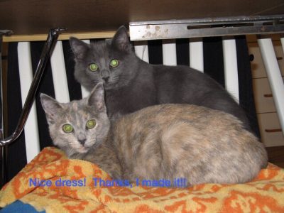 “Mystery Blogger” Award … in other words, let’s get to know each other!