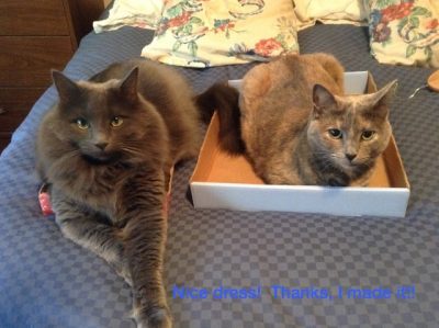 Nice dress!  Thanks, I made it!!