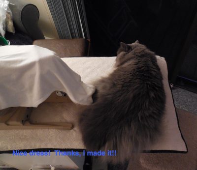 Nice dress!  Thanks, I made it!!