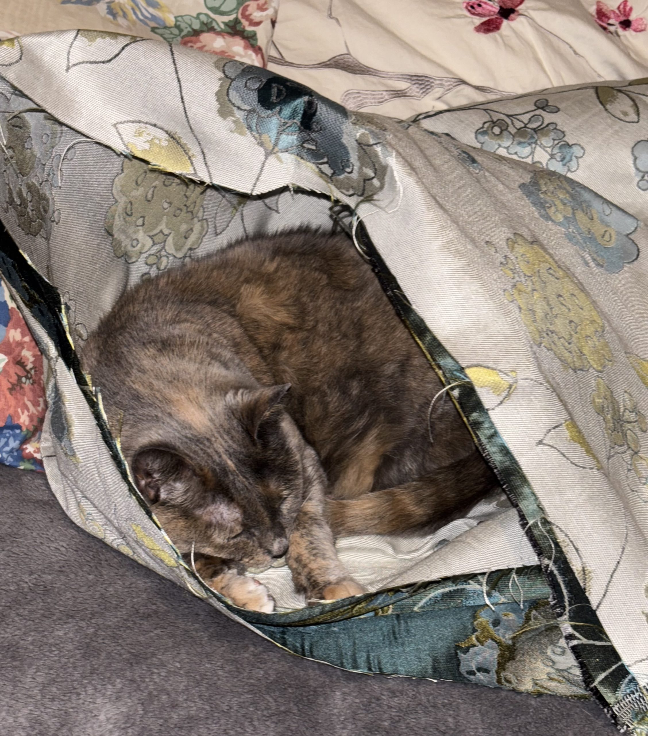 Pattern Shop Move Completed – February 2026, Update!